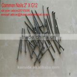 high qulity common iron nail/iron nail factory