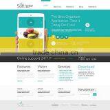 How to Design a Website