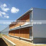 Professional cheap light steel structure poultry chicken house/shed