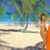 Polarized Lens Test Card