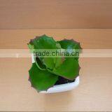 0.6mm Mini Artificial Green Bonsai