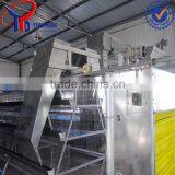 Chicken Layer Equipment for Poultry Farm thumbnail-2