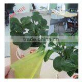 Finish Mirror Aluminum Sheet for Reflector/reflective Aluminum Sheet