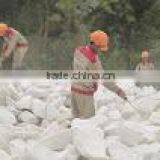 Vietnamese Calcium Carbonate With High Quality thumbnail-5