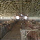 Light Frame Steel Structure Building for Greenhouse, Poultry Farm With Really Low Cost thumbnail-3