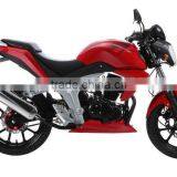 SCOOTER GOES thumbnail-5