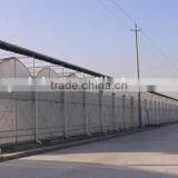 Sunshine Ecological in Greenhouse thumbnail-1