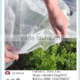 30gsm White Anti-UV Non Woven Used for Plant Cover