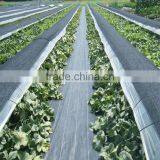 Anti uv Breathable Film Weed Control Mats thumbnail-3