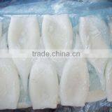 Frozen Squid Tube U5 thumbnail-1