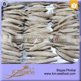 Best Selling Double Clean Bonito Fresh Tuna Loin With Prices thumbnail-4