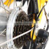 Baogl Efb01 Folding Electric Bike of 36V250W With Bafang Gearless Hub thumbnail-5