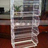 Supermarket Fruit Cart