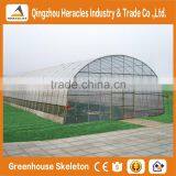 Heracles Low Cost Agricultural Small Greenhouse thumbnail-1