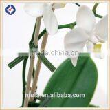 Factory Price Garden Plastic Twist Ties,twists Ties in Agriculture thumbnail-6