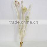 Wholesale Rattan Reeds Stick Bundle/ Curl Straight Reed Stick