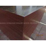 MERINOPLEX фанера, клей MR, осяная середина, коричневая печатная пленка thumbnail-3