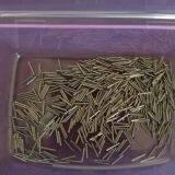 GR1 Titanium Capillary Tube for Medical thumbnail-2