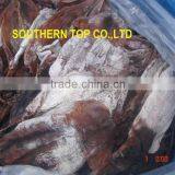 Dried Squid thumbnail-3