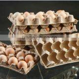Hot Sale Low Cost Recycled Waste Paper Egg Tray Machine