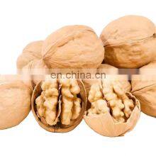 Factory Direct High Quality Dried Fruit Snacks Kernels Without Shell Walnut Kernes for Sales thumbnail-5