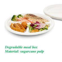 Sugarcane Pulp Lunch Box is Biodegradable