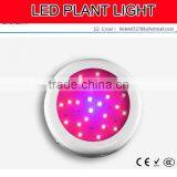 Indoor Plant UFO 25X3W LED Grow Light thumbnail-1
