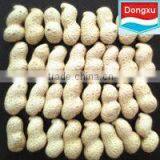 Chinese High Quality Peanut in Shell