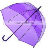 Bubble Poe Transparent Apolo Umbrella With Purple Color
