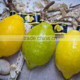 Handmade Soap - Natural Spa Fruit Soap Lemon Lime Flavor