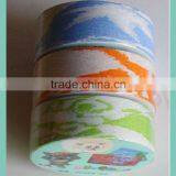 Easy to Carry Compressed Travel Towel