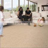 Modern Design Living Room Latest Technology New Tufted Plain Carpet