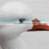 Good Quality Outdoor Hunting Plastic Wind Sock Decoys Snow Goose Head From Chinese Manufacturer thumbnail-3