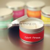 513 Party Used Colorful Wholesale Wax Candle In Tin