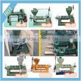 Palm Kernel Oil Extraction