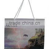 Colorful Printed Paper Bag for Shopping