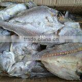Dry Salted Fish High Quality Dried Brown Croaker Fish thumbnail-1