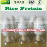 Wholesale Bulk Food Grade Rice Protein 300 mesh 80%min for Dietary People