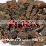 Terminalia Chebula / Harrad / Black Himej thumbnail-4