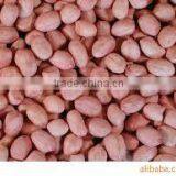 Peanut With Shell thumbnail-2