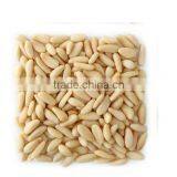 Pine Nut With High Quality