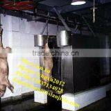 Vertical Pig Carcass Washing Machine