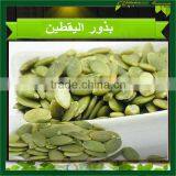 Pumpkin Seeds Kernel Grade AA High Quality thumbnail-6