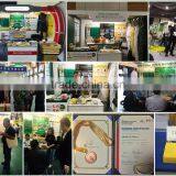 Fresh Royal Jelly Good for Health Care thumbnail-4