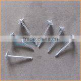 Top Quality Umbrella Head Screw Rod Roofing Nails Trusted Chuanghe Suppliers From Com thumbnail-4