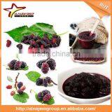 Best Sale Full Automatic Industrial Mulberry Jam Maker Machine High Viscosity Production Line Mulberry Paste thumbnail-1