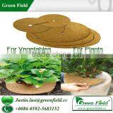 Coco Disc thumbnail-6