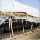 200mic Black and White PE Greenhouse Film for Poultry Cultivation thumbnail-1