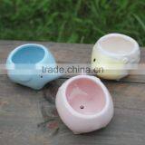 Cute Ceramic Animal Shape Planters for Succulent Plants thumbnail-3