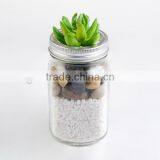 Flower Frog Lids Glass Mason Jar thumbnail-3